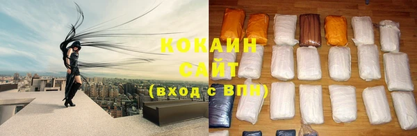 трава Магас