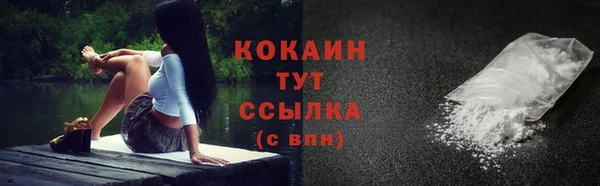 трава Магас