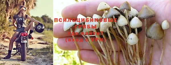 первитин Мегион